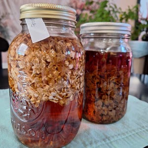 May include: Two clear glass Mason jars filled with a reddish-brown liquid and plant matter. One jar has a gold lid and a small white tag attached. The other jar has a silver lid. The jars sit on a light blue cloth.