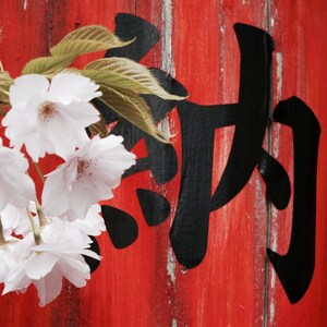 Cherry Blossom Beauty
