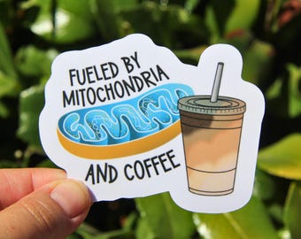 Fueled by Mitochondria and Coffee Sticker, Decal, Teacher Sticker, Laptop Sticker, Gift for Science Teacher, Science Teacher Sticker