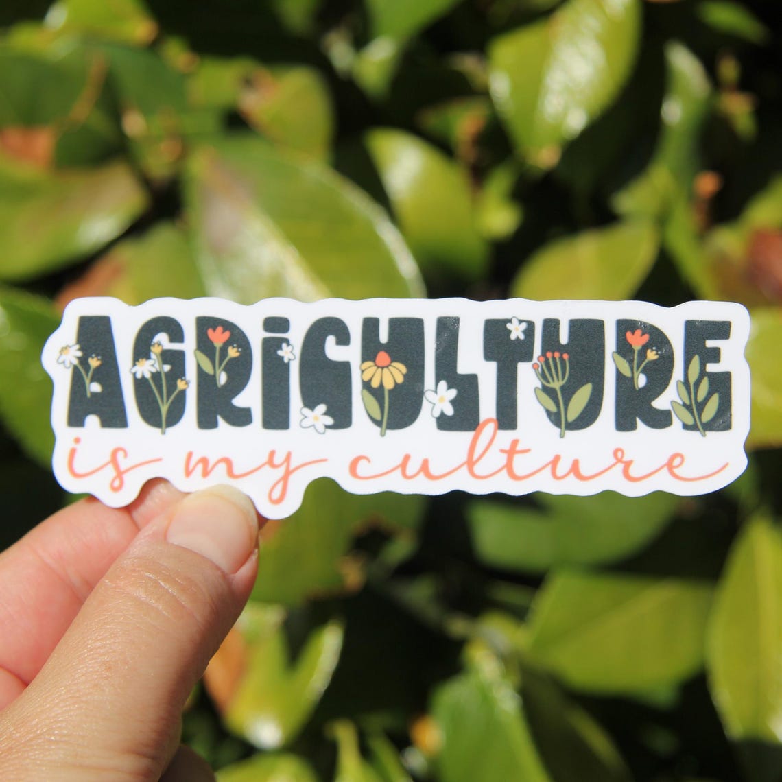 Agriculture is My Culture Sticker, Decal, Teacher Sticker, Laptop ...