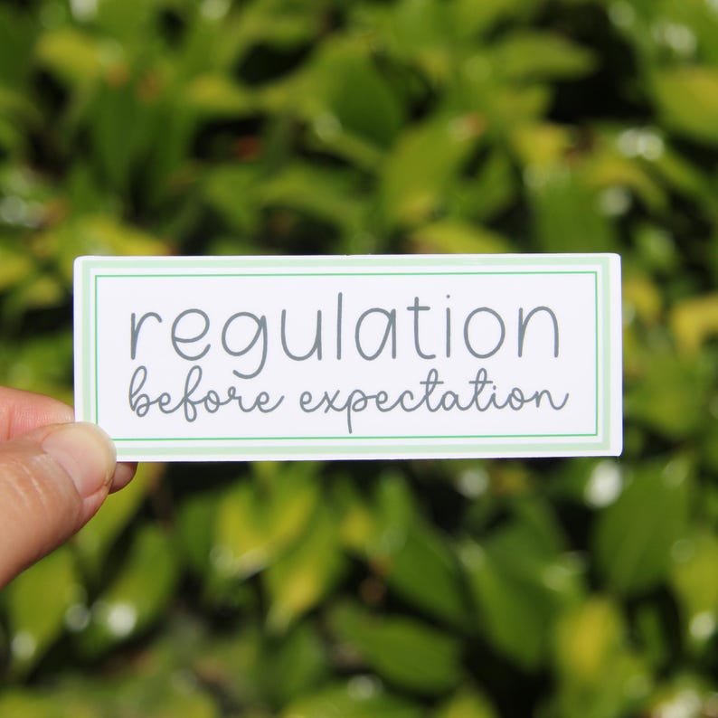 Regulation Before Expectation Sticker, Motivational Sticker, SPED ...