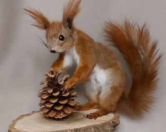 Vintage Taxidermy Squirrel on Wooden Stand Souvenir