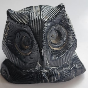 May include: A black owl figurine carved from stone. The owl has large, round eyes and detailed feathers.