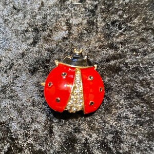 May include: A red and black ladybug brooch with rhinestones. The ladybug has black spots and a gold trim.