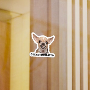Overstimulated Sticker / Chihuahua Sticker/ Funny Overstimulated Sticker / Laptop Waterbottle Accessory