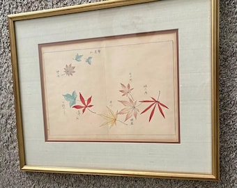 Ein Paar Antike japanische Holzschnitte Handgefärbte Ahornblätter Botanische Studien 17 &quot;x 21&quot; Gerahmt Signiert &quot;100 Arten von Ahorn&quot;