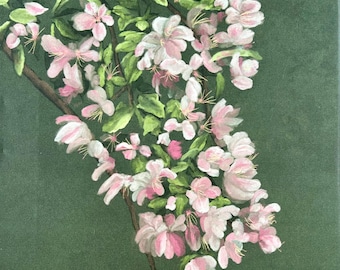 Apple Blossoms Original Art by JJE Giclee print 12”x12” ready to hang