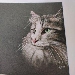 Giclee print of cat
