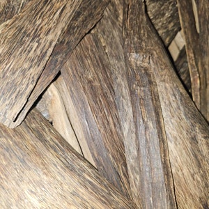 Chittagong Hilt Agarwood (Bangladesh)