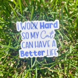 I Work Hard So My Cat Can Have a Better Life Sticker, Cat Mom Gifts, Funny Quote Sticker for Laptop, Cat Lover Decal, Gift Ideas for Friends