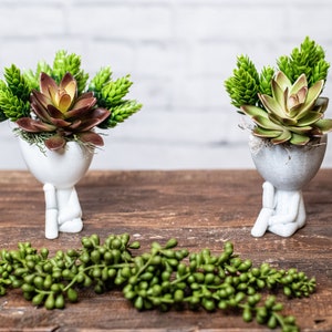 May include: Two small succulent planters. One is white, the other is grey. Each planter is shaped like a person sitting with their legs crossed, holding their chin. The planters hold a variety of green and burgundy succulents. A string of green, bead-like plants is in the foreground.