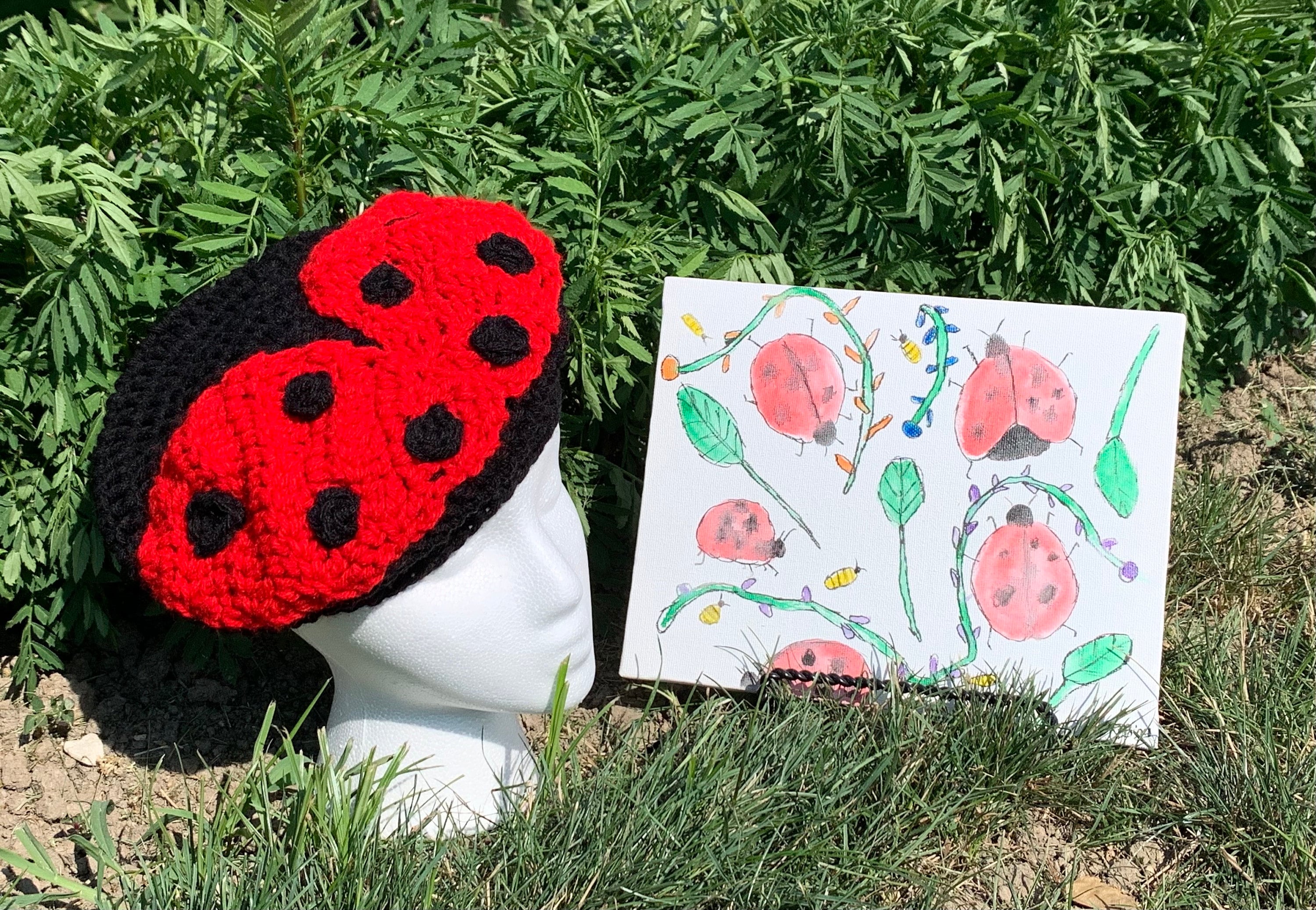 6153 Wool Felt Cartoon Hat Cute Ladybug Decorated Beret Caps For Cosplay Ladybug Felt Party Hat - Etsy main image 2