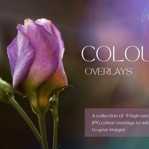 Colour Overlays