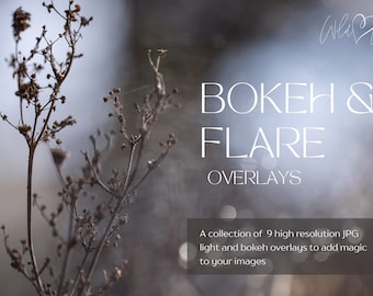 Bokeh and Flare Overlays