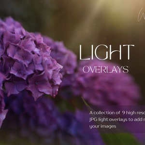 Light Overlays