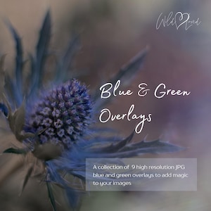 Blue and Green Overlays