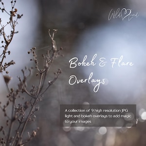 Bokeh and Flare Overlays