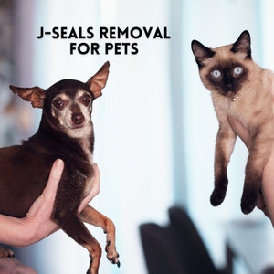 May include: A brown and black chihuahua mix dog and a brown and white Siamese cat are being held by people. The text "J-SEALS REMOVAL FOR PETS" is at the top of the image.