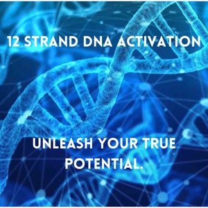 12 Strand DNA Activation | Personal Facilitation