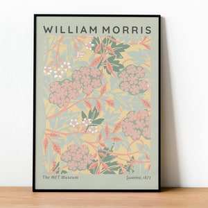 May include: A framed print of a floral pattern in shades of pink, green, and yellow. The print is titled "Jasmine, 1872" and is attributed to William Morris. The print is from The Met Museum.
