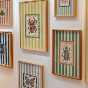 May include: A collection of framed insect art prints. Each print features a detailed insect illustration within a postage stamp design, set against a striped background. The frames are a warm wood tone, and the prints are mounted on a white wall.