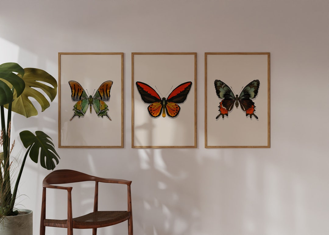 Butterfly Printable Wall Art Set of 3 Vintage Butterfly Print - Etsy