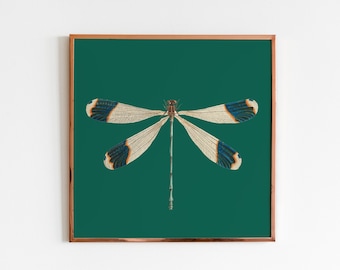 Dragonfly Printable Wall Art, Emerald Green Poster Download, Square Wall Art, Vintage Dragonfly Digital Print, Dragonfly Insect Painting Art