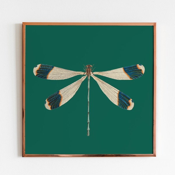 Dragonfly Printable Wall Art, Emerald Green Poster Download, Square Wall Art, Vintage Dragonfly Digital Print, Dragonfly Insect Painting Art