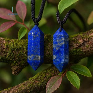 May include: Two blue lapis lazuli crystal pendants with black cords hang from a mossy branch. The pendants are hexagonal in shape and have a polished finish. The background features green leaves and red-tinged foliage.