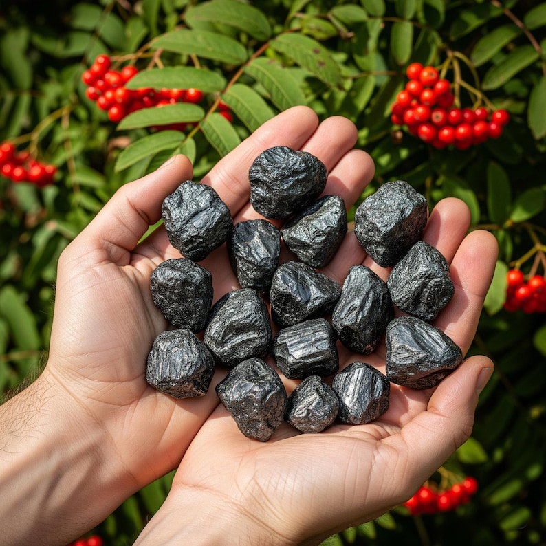 5PCS Raw Shungite Stone-natural Rough Crystals Chunks Rocks - Root ...