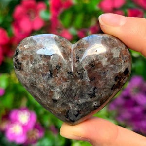 Puede incluir: Una talla de piedra en forma de coraz&oacute;n con un patr&oacute;n moteado de gris, marr&oacute;n y negro. La superficie pulida refleja la luz, y la piedra se sostiene entre los dedos sobre un fondo de flores coloridas. Un art&iacute;culo decorativo &uacute;nico.