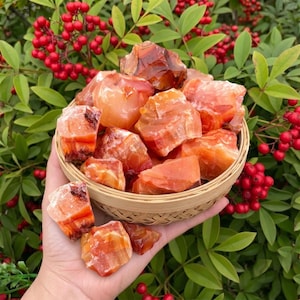 May include: A hand holds a woven basket filled with raw, orange carnelian crystals. The crystals have a rough, natural texture and varying shades of orange and brown. Green leaves and red berries form a natural backdrop.