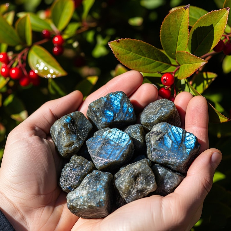 May include: A handful of rough-cut labradorite stones, showcasing iridescent blue flashes. The stones are a mix of gray and blue hues, held against a backdrop of green leaves and red berries.