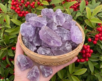 May include: A hand holding a woven basket filled with raw amethyst crystals. The crystals vary in shades of purple and are rough-hewn. Several amethyst pieces are also in the hand. The background features green leaves and red berries.