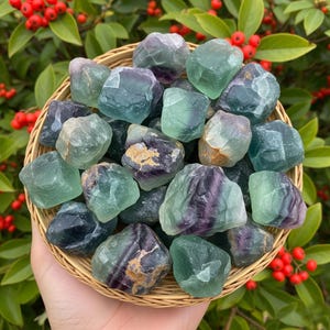 Puede incluir: Una cesta de mimbre llena de cristales de fluorita en bruto. Los cristales muestran una mezcla de tonos verdes, morados y claros. La cesta se sostiene en una mano, con un fondo de hojas verdes y bayas rojas.