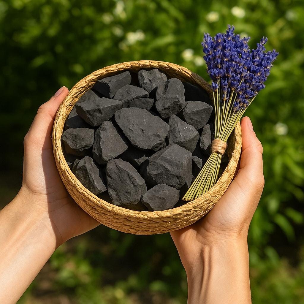 5PCS Raw Shungite Stone-natural Rough Crystals Chunks Rocks - Root ...