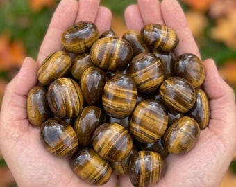 May include: A handful of polished tiger's eye stones. The stones are oval-shaped with a chatoyant effect, displaying bands of golden brown and dark brown. The background is blurred with fall foliage.