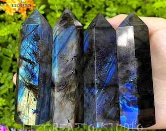 May include: Four labradorite crystal points, each with a unique blue and black iridescent sheen. The crystals are arranged in a row, with the tips pointing upwards. The crystals are approximately 3 inches in length.