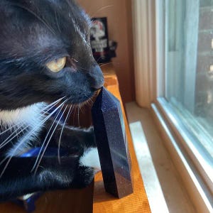 May include: A black and white cat with yellow eyes sniffs a dark blue crystal point. The crystal is standing upright on a wooden surface near a window, catching the sunlight. The crystal has a glittery appearance.