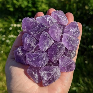 May include: A handful of raw, uncut amethyst crystals. The crystals are a deep purple color and have a rough, textured surface. The background is blurred green foliage.