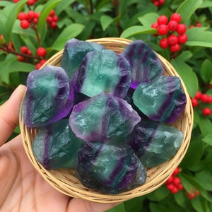 Puede incluir: Una colecci&oacute;n de cristales de fluorita en bruto en una peque&ntilde;a cesta de mimbre. Los cristales muestran una mezcla de tonos verdes y morados. El fondo presenta follaje verde y bayas rojas.