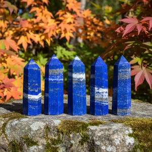 May include: Five blue lapis lazuli obelisks with white and gold veining are displayed on a mossy rock. The obelisks are standing upright, with a pointed top. The background features colorful autumn leaves.
