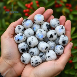 Op de afbeelding: Een handvol gepolijste maansteen edelstenen. De stenen zijn wit met zwarte spikkels en vertonen een blauwe iriserende glans. De achtergrond is een vage mix van groen en rood.