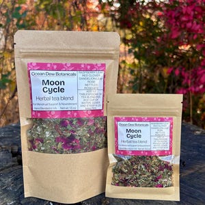 Moon Cycle Raspberry Leaf & Red Clover Herbal Tea Blend