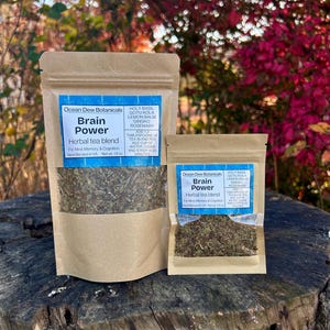 Brain Power Gotu Kola & Holy Basil Herbal Tea Blend For Mind, Memory, Cognitive Support