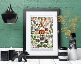 Vintage Nature Taxonomy Poster | Garden Fruits and Vegetables | Printable Digital Download | Vintage Art Print