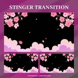 Könnte beinhalten: Eine digitale Grafik mit der Aufschrift STINGER TRANSITION, die einen schwarzen Hintergrund zeigt, der in den oberen Ecken von rosa Kirschblütenzweigen und am unteren Rand von geschichteten rosa und hellvioletten Wolken mit fallenden Blütenblättern umrahmt wird.