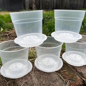 May include: A set of five translucent, semi-clear plastic plant pots, each paired with a matching circular saucer. The pots feature a wide rim and a raised, perforated drainage base design, arranged in a cluster on a textured surface.
