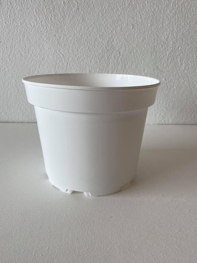Op de afbeelding: Een witte plastic plantenpot met een afgeronde bodem en een licht uitlopende rand. De pot heeft een gladde, matte afwerking.