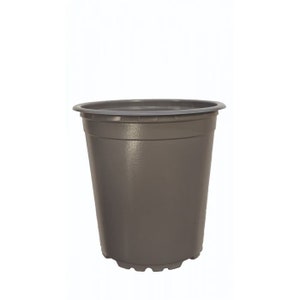 May include: A dark grey plastic plant pot with a slightly flared rim and a scalloped base.